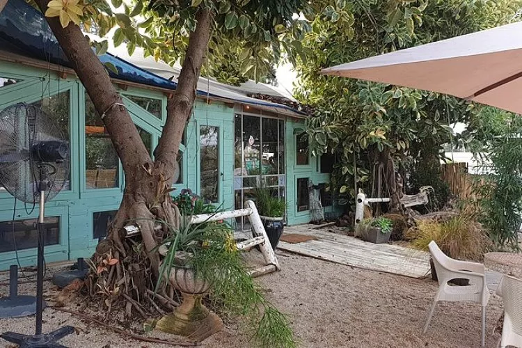 צילום: Ariel Manor