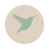 Untitled design (1)